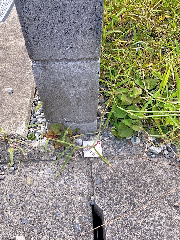 掛川市緑ヶ丘1丁目 その他