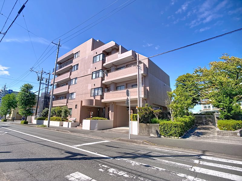 ロイヤルシャトー高丘東 外観写真