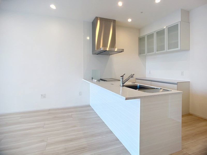 一条タワー 910号室 その他