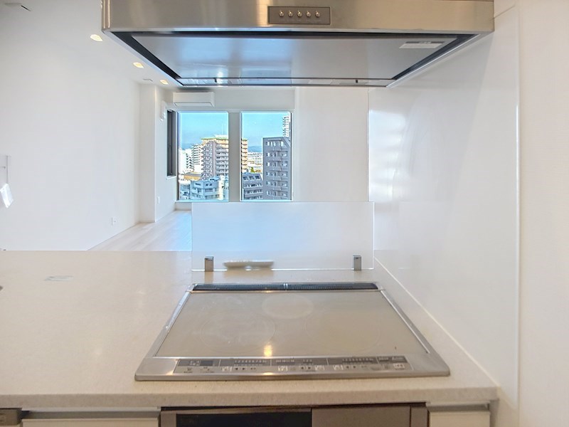 一条タワー 910号室 その他