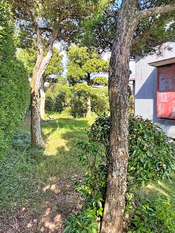 磐田市五十子 その他