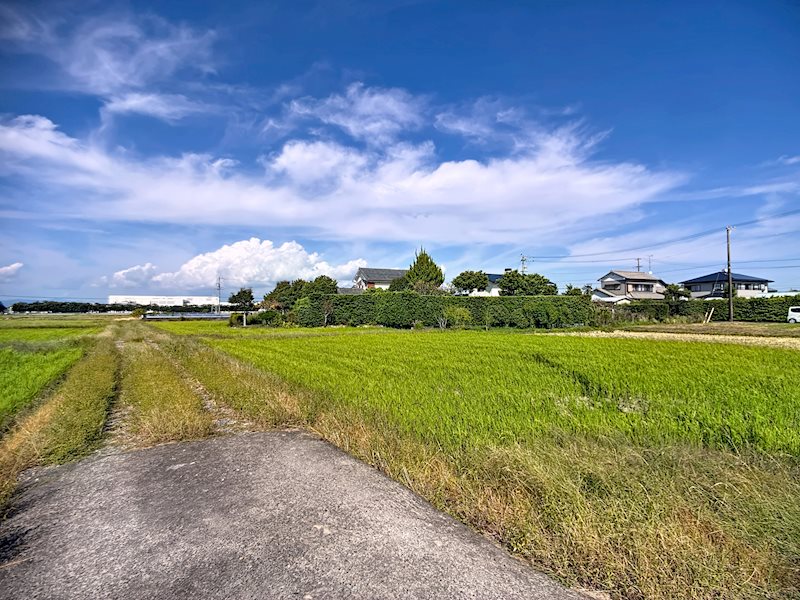 磐田市五十子 その他