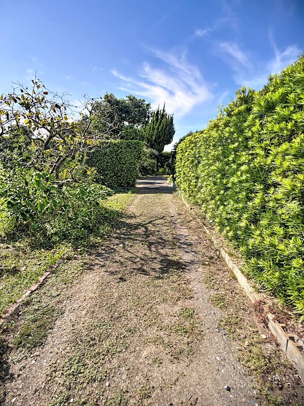 磐田市五十子 その他