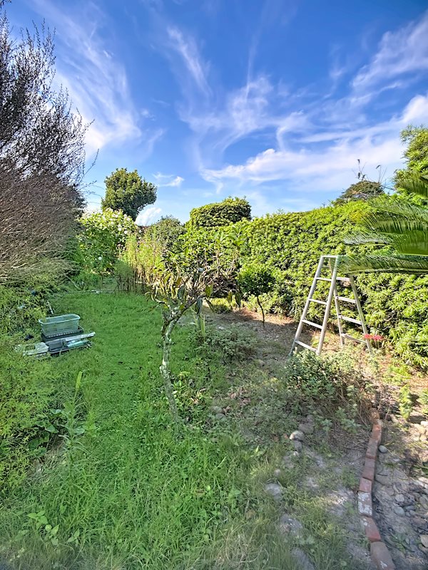 磐田市五十子 その他