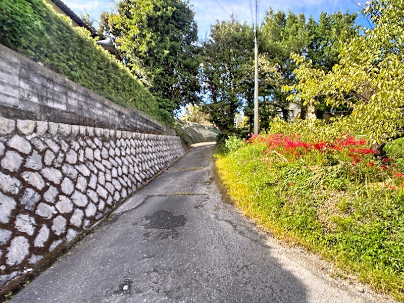浜松市中央区神ヶ谷町 その他