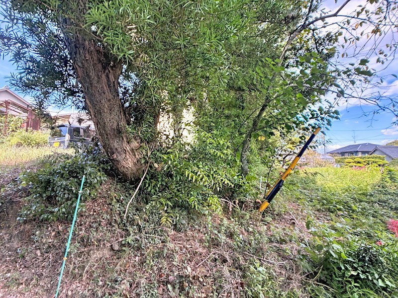 浜松市中央区神ヶ谷町 その他