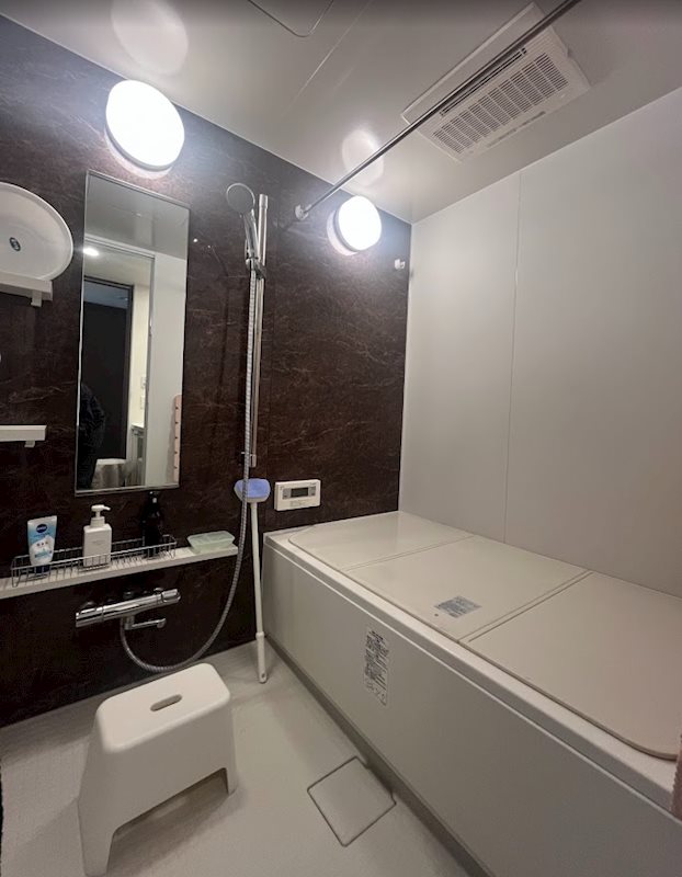 一条タワーレジデンス 503号室 その他