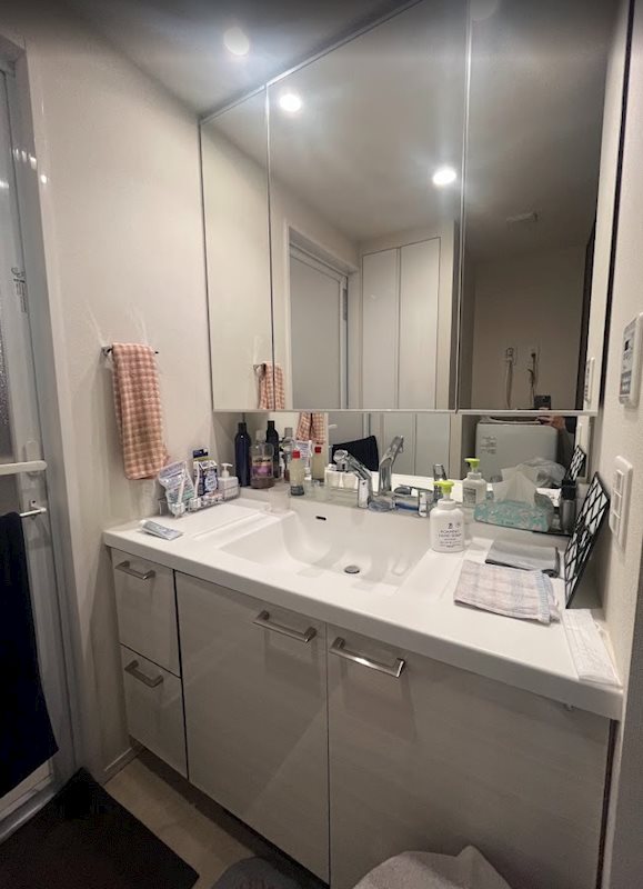 一条タワーレジデンス 503号室 その他