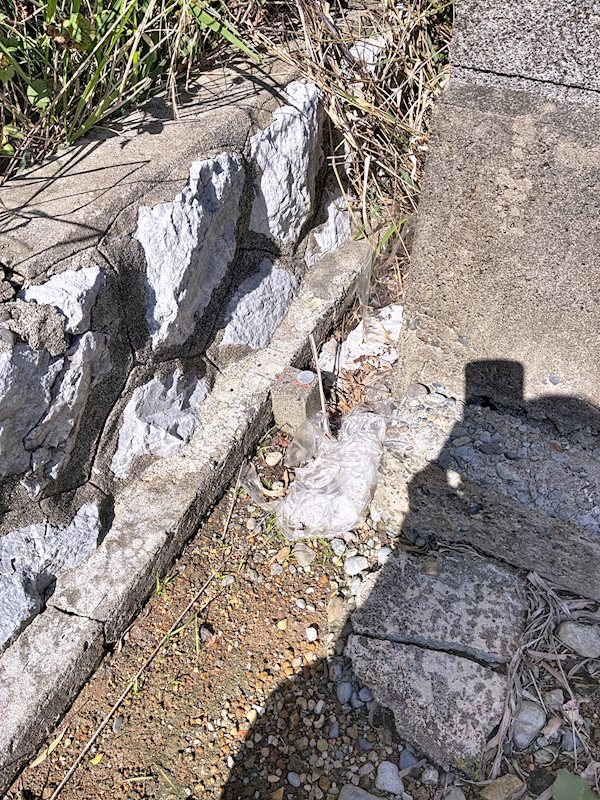 磐田市中泉御殿 その他