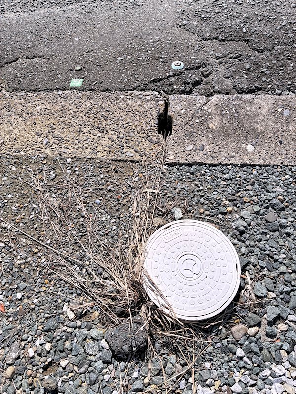 磐田市中泉御殿 その他