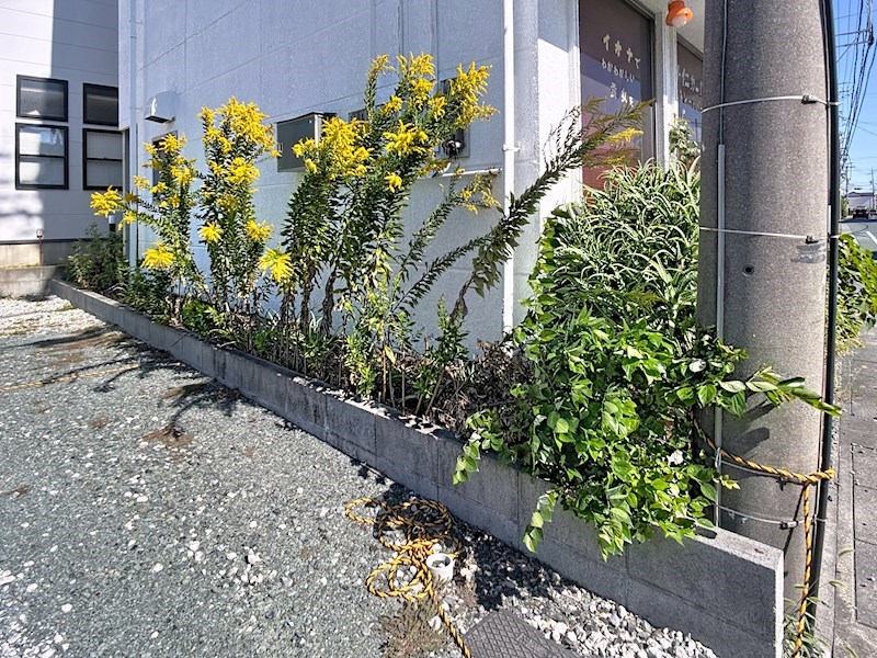 浜松市中央区天王町 その他