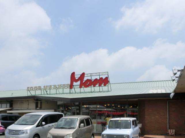 FOOD MARKET Mom(フードマーケットマム) 天王店 浜松市中央区天王町 周辺画像4