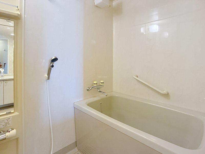 ブライトタウン住吉 503号室 その他