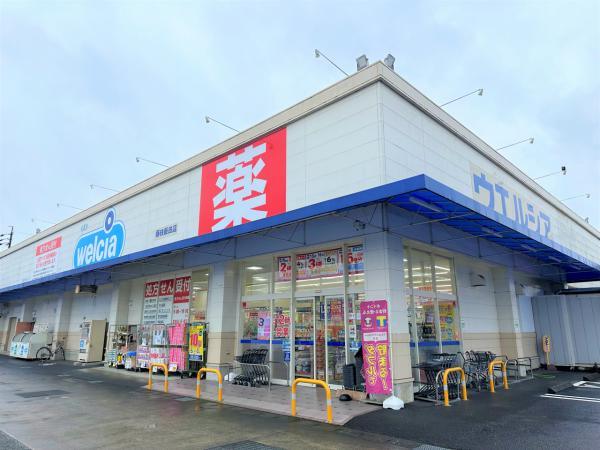 藤枝市藤岡3丁目 ドラッグストア