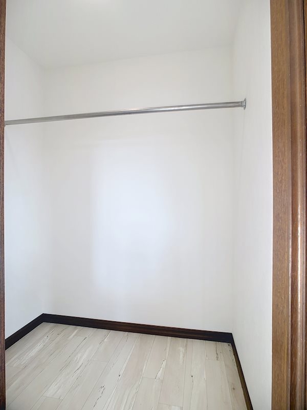 2階南西洋室 ウォークインクローゼット その他