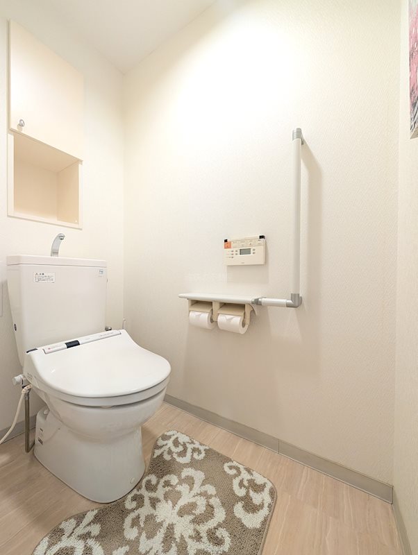 背面に収納を備えた使い勝手のよいトイレ ディークラディア葵東 その他