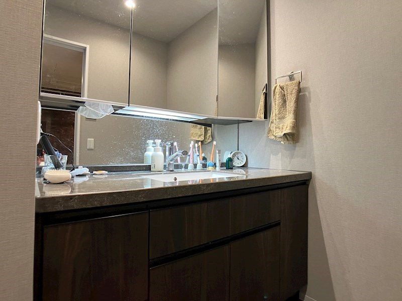 ル・シェモア元城町 内観写真（洗面台・洗面所）