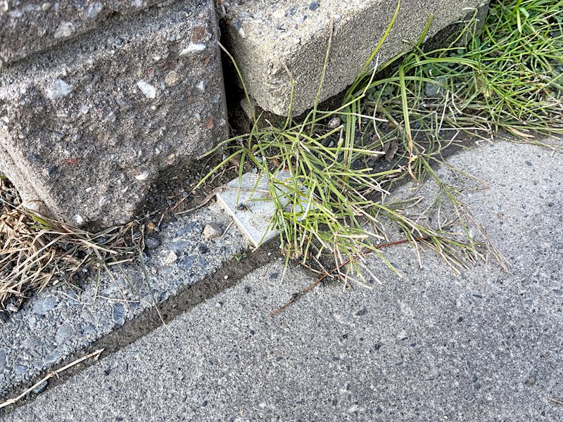 袋井市神長 その他