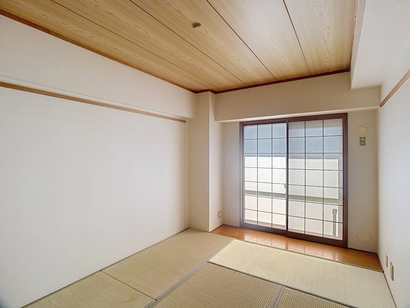 ライフ・イン・サーラ その他