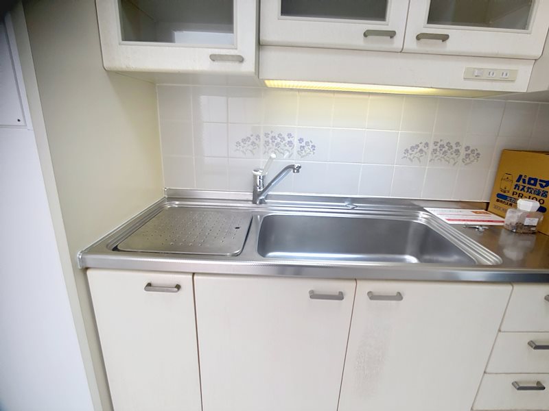 ライフ・イン・サーラ その他