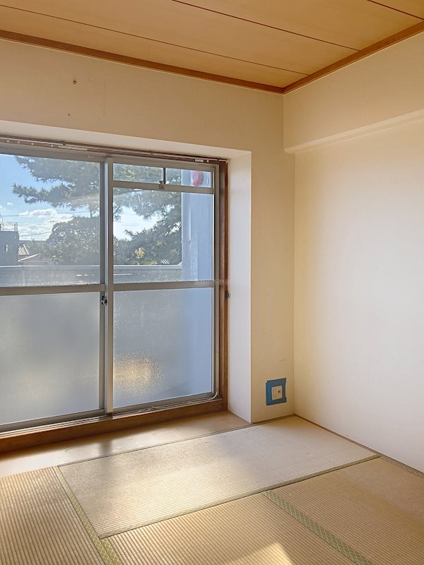 浜松ダイカンプラザスポーツメント その他