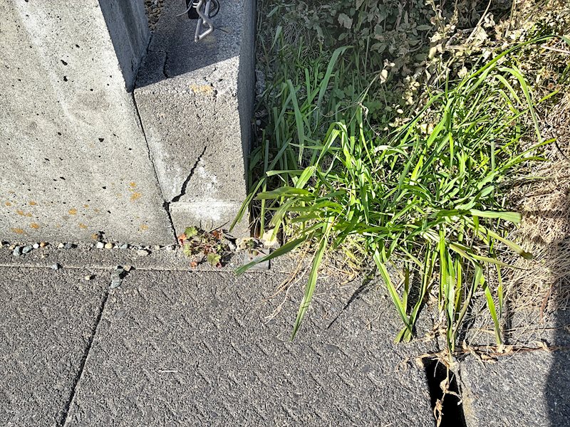 磐田市竜洋中島 現地写真
