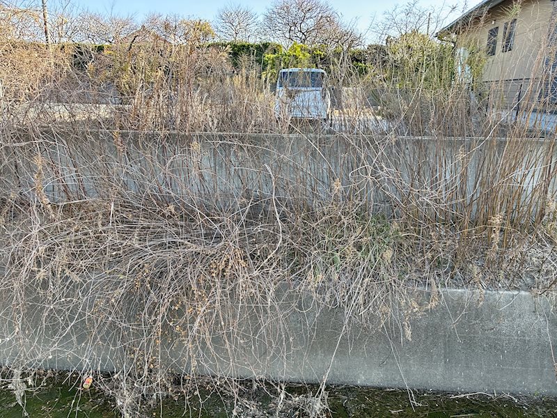 磐田市竜洋中島 現地写真