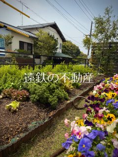 浜松市中央区佐鳴台6丁目 現地写真（庭）