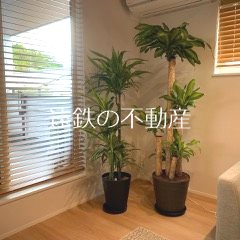 浜松市中央区佐鳴台6丁目 内観写真（内装）
