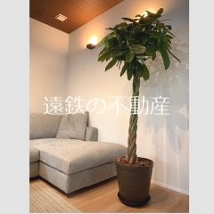 浜松市中央区佐鳴台6丁目 内観写真（内装）