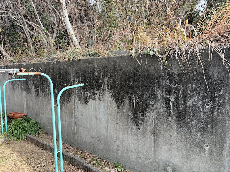 浜松市中央区和合町 その他