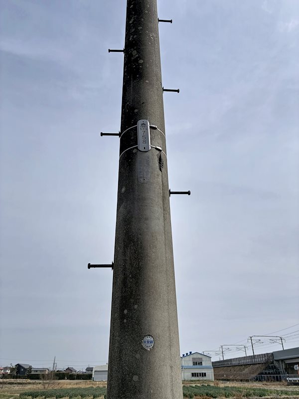 磐田市刑部島 現地写真