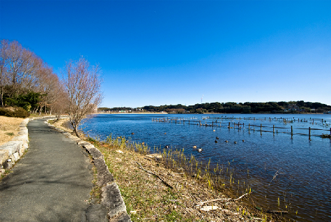 浜松市中央区蜆塚4丁目  公園