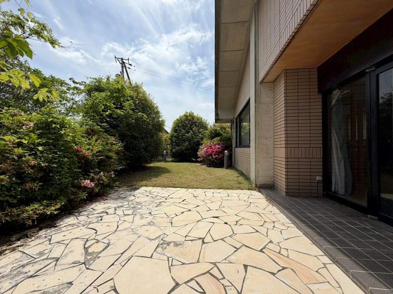 浜松市浜名区三ケ日町大崎 現地写真（庭）