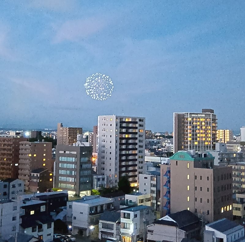 サーパス浜松城公園 その他