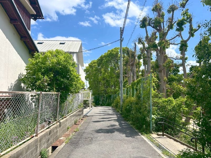 【会員限定】箕面市桜ケ丘4丁目 土地 現地写真（前面道路含む現地写真）
