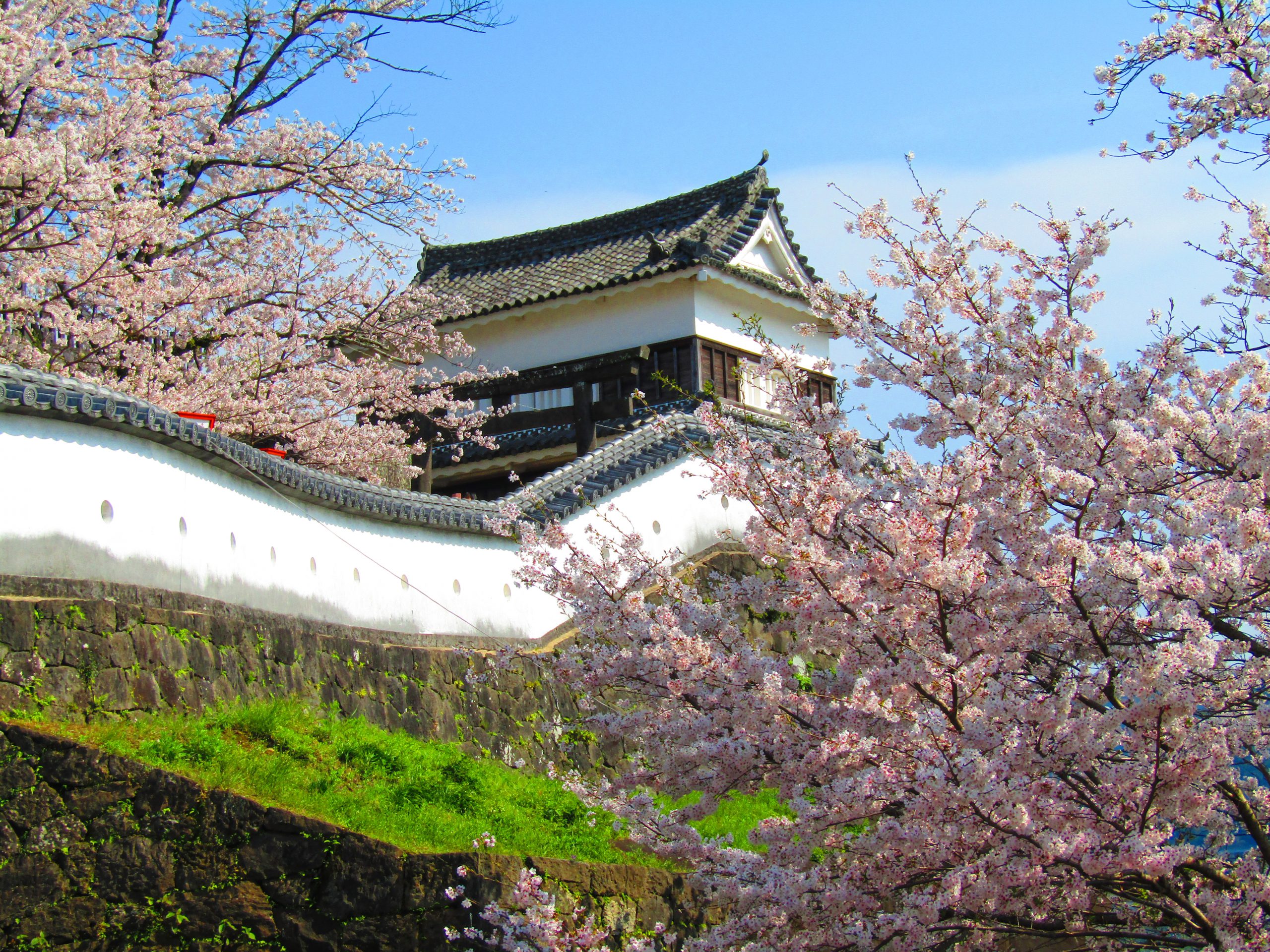 臼杵市　祇園　売土地 周辺画像6