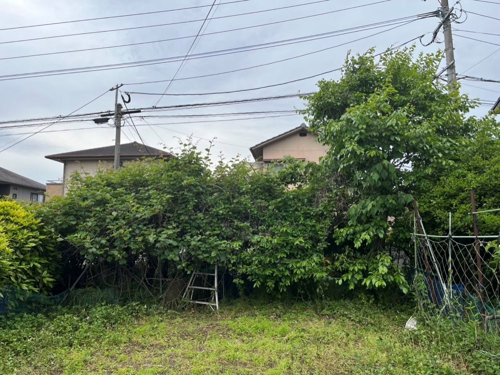 花園1丁目804－3　土地 その他