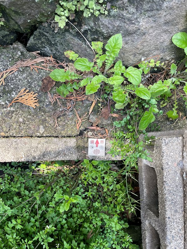 猪野1231番４　売地 その他