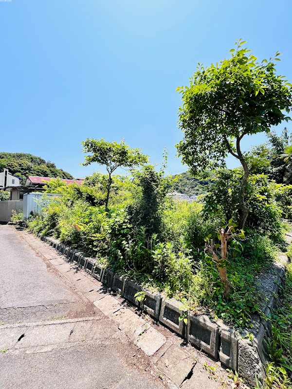 大分市志生木3800-94他　土地 その他