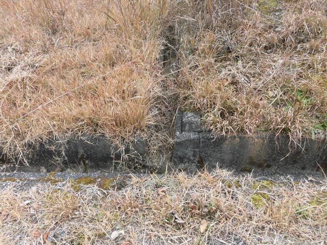 船井郡京丹波町実勢大平45番206　売土地 その他
