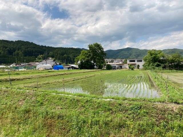 京都府亀岡市稗田野町佐伯斉ノ神 現地写真