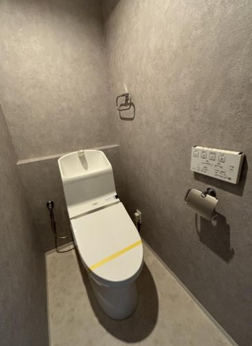 エルシティ桃山 内観写真（トイレ）
