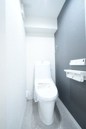 ファミール伏見A棟 内観写真（トイレ）