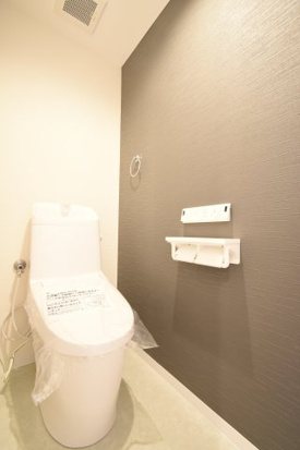 グランドムール山科 内観写真（トイレ）