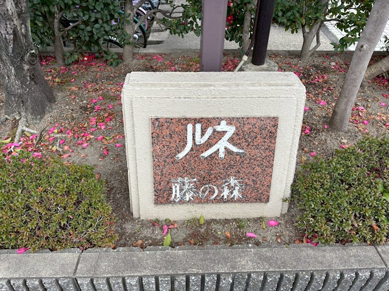 ルネ藤の森 その他