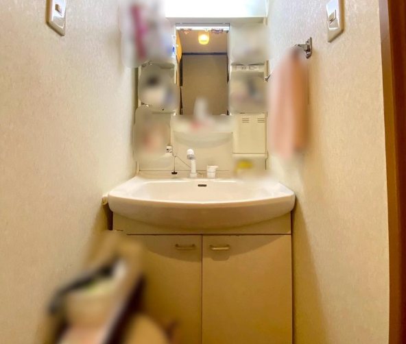 左京区岩倉花園町 戸建 内観写真（洗面台・洗面所）
