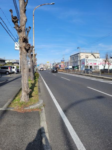 堺市北区百舌鳥西之町2丁　売土地 現地写真（前面道路含む現地写真）