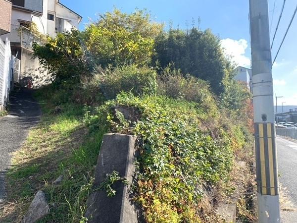 羽曳野市河原城　売土地 現地写真