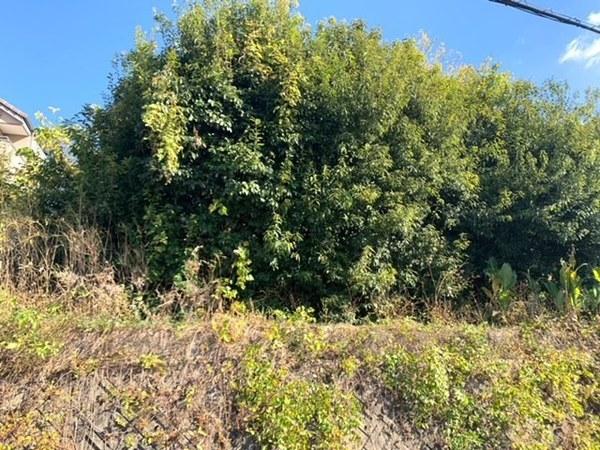 羽曳野市河原城　売土地 現地写真